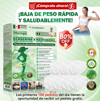 𝑮𝑳𝑶𝑹𝑬𝐍𝗗𝗔®𝗠𝗼𝙧𝙞𝙣𝙜𝙖 · 𝘽𝙚𝙧𝙗𝙚𝙧𝙞𝙣𝒂 × 𝑵𝑨𝐃+ 𝐏𝐚𝐫𝐜𝐡𝐞 𝘼𝙫𝙖𝙣𝙯𝙖𝙙𝗼 𝗱𝗲 𝗠𝗶𝗰𝗿𝗼𝗻𝒂𝒍𝒈𝒂 𝑵𝒂𝐧𝐨 𝟏0-𝙚𝙣-1