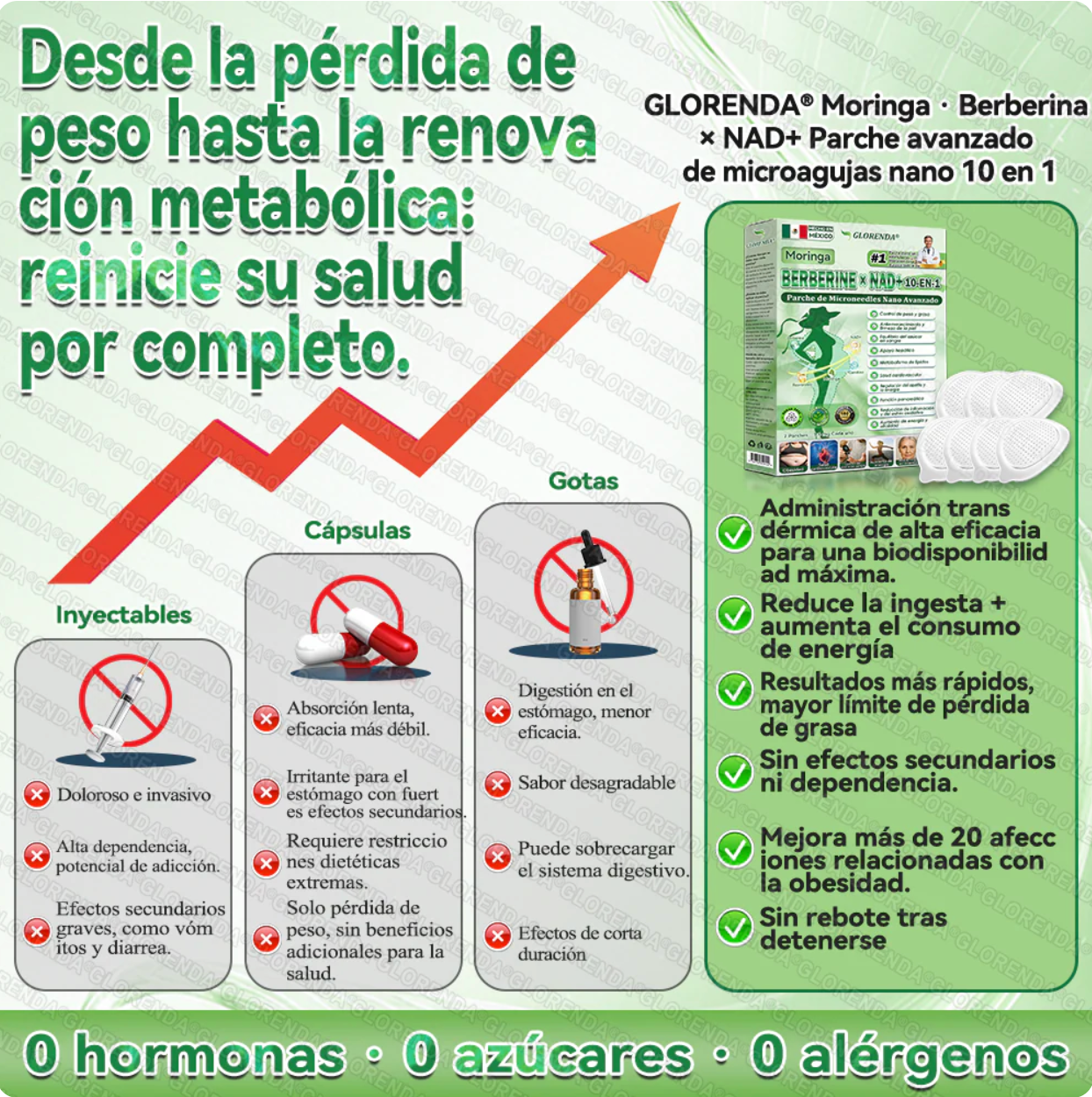 𝑮𝑳𝑶𝑹𝑬𝐍𝗗𝗔®𝗠𝗼𝙧𝙞𝙣𝙜𝙖 · 𝘽𝙚𝙧𝙗𝙚𝙧𝙞𝙣𝒂 × 𝑵𝑨𝐃+ 𝐏𝐚𝐫𝐜𝐡𝐞 𝘼𝙫𝙖𝙣𝙯𝙖𝙙𝗼 𝗱𝗲 𝗠𝗶𝗰𝗿𝗼𝗻𝒂𝒍𝒈𝒂 𝑵𝒂𝐧𝐨 𝟏0-𝙚𝙣-1