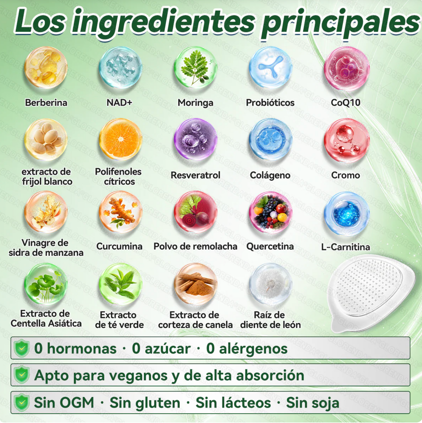𝑮𝑳𝑶𝑹𝑬𝐍𝗗𝗔®𝗠𝗼𝙧𝙞𝙣𝙜𝙖 · 𝘽𝙚𝙧𝙗𝙚𝙧𝙞𝙣𝒂 × 𝑵𝑨𝐃+ 𝐏𝐚𝐫𝐜𝐡𝐞 𝘼𝙫𝙖𝙣𝙯𝙖𝙙𝗼 𝗱𝗲 𝗠𝗶𝗰𝗿𝗼𝗻𝒂𝒍𝒈𝒂 𝑵𝒂𝐧𝐨 𝟏0-𝙚𝙣-1