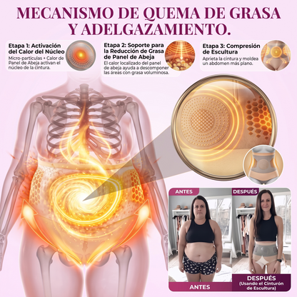 Tienda Oficial | PEARLMOON® 2026 Shorts Adelgazantes 4-en-1 con Moringa · Berberina × Termogénicos Zeolita 🇲🇽 (Solo 8 horas al día, cambios visibles en 7 días)